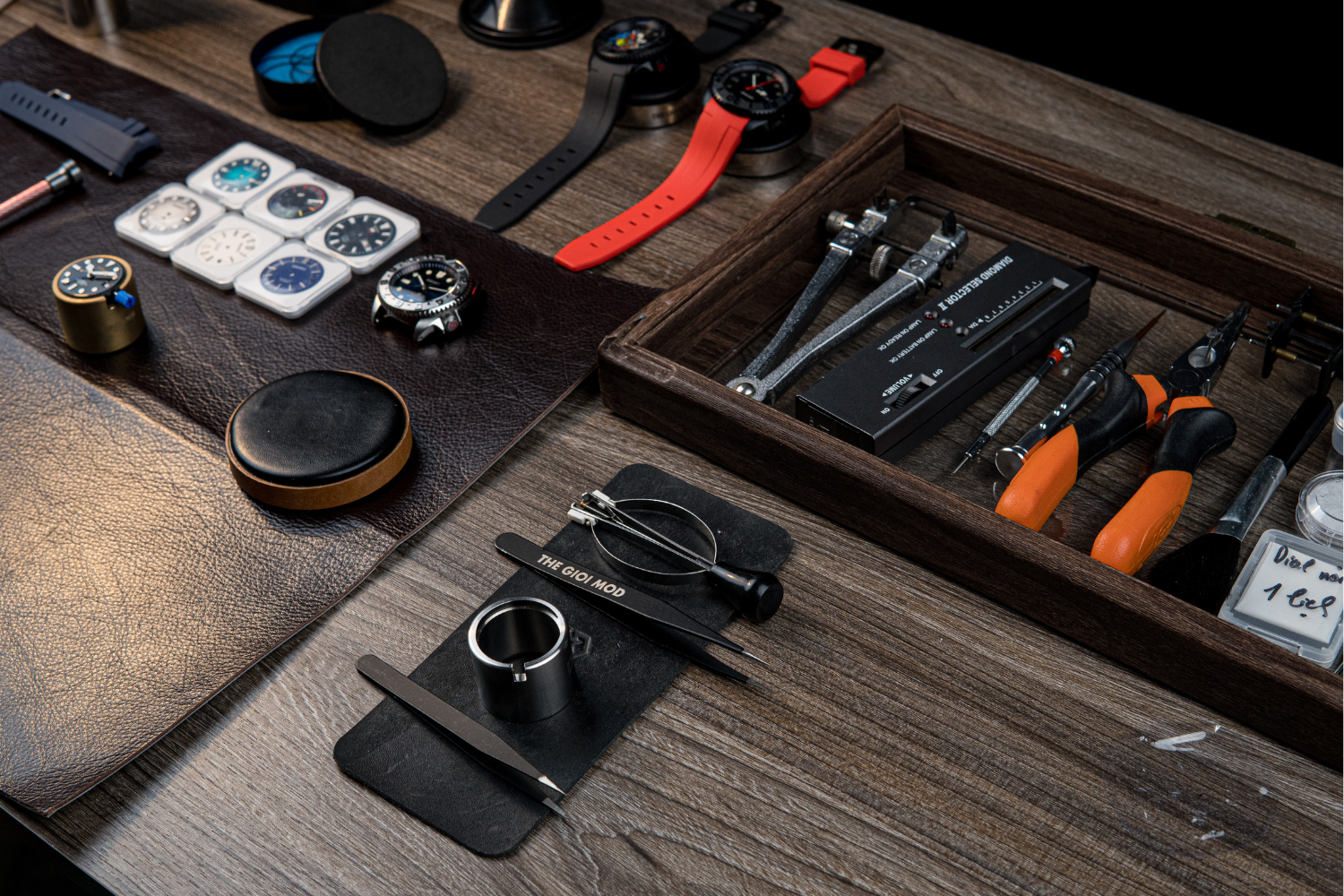 Discover the World of Watchmaking with THE GIOI MOD